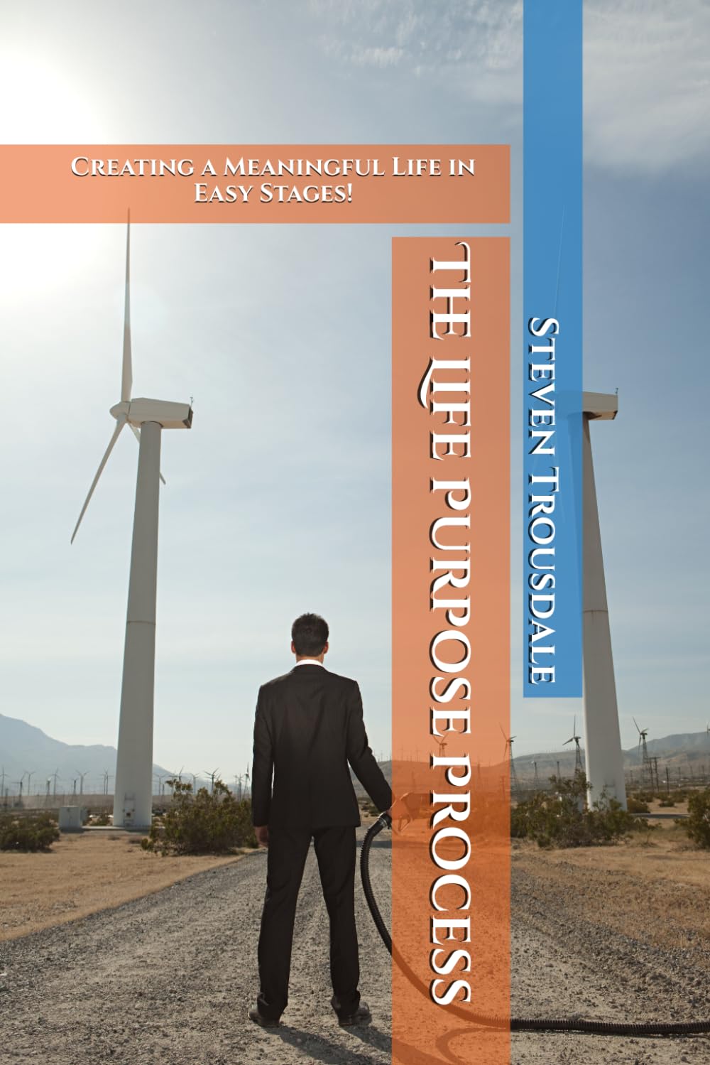 The Life Purpose Process: Creating a Meaningful Life in Easy Stages! (Real Life)