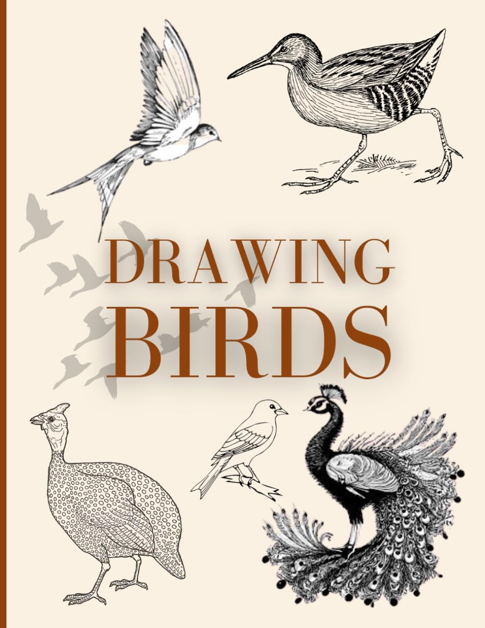 Birds Drawing Guide for Kids, Sketching Birds for beginners | A Bird Drawing Manual, Step by step Drawing Techniques for your children | Size: 8.5 z 11 inches with 160 pages