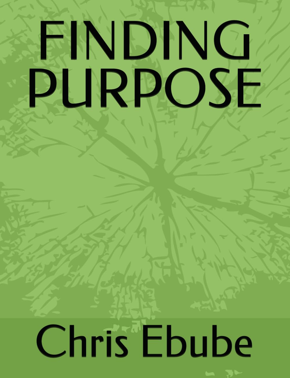 FINDING PURPOSE