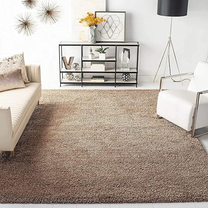 Image of F & B Rugs Firoz and Brothers Carpet for Living Room 5x7 feet