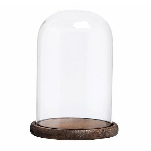Elegant Glass Cloche with Wood Base