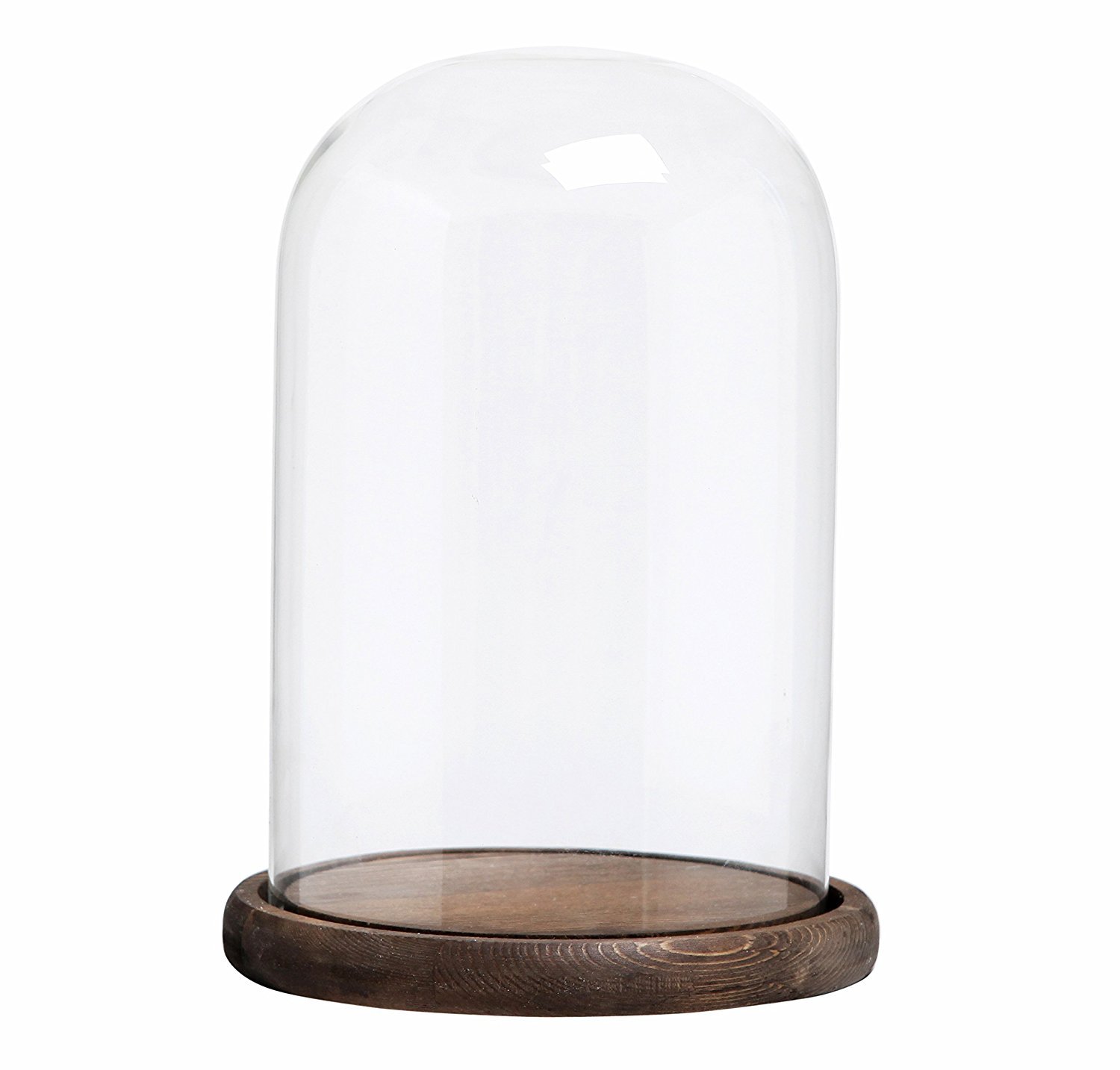 MyGift Bell Jar with Wood Base