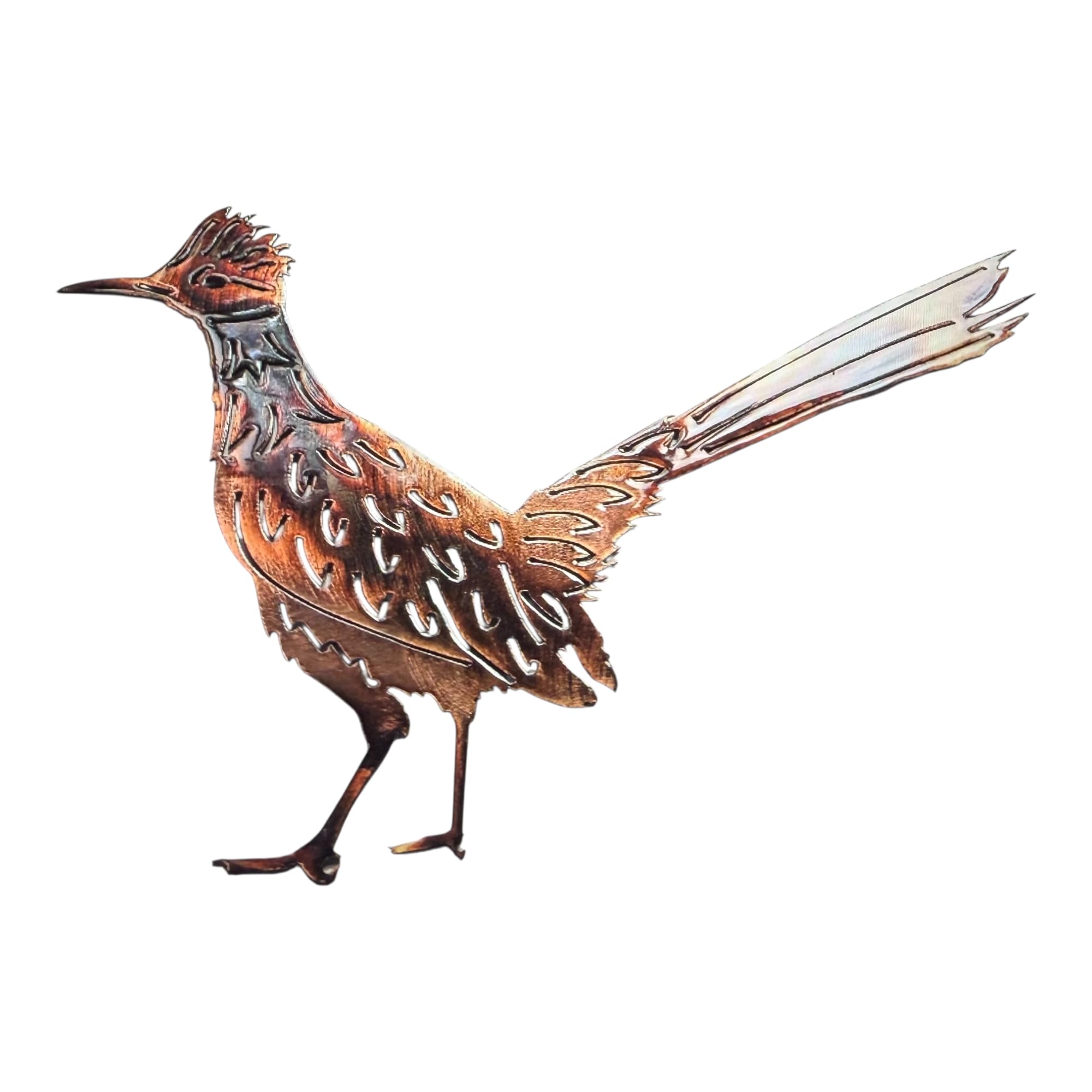 Amazon.com: Arizona Roadrunner Metal Wall Art Décor 4 Sizes to