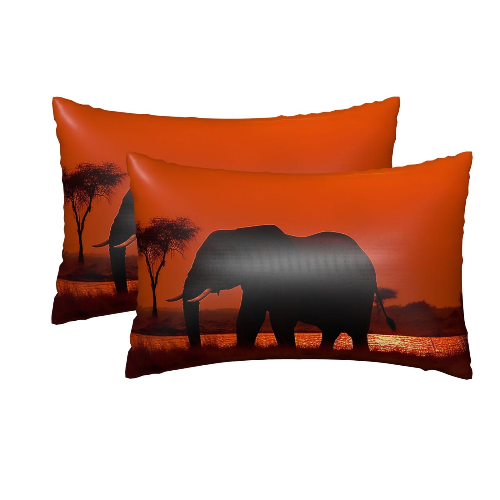 2 Pack Queen Silk Pillow Cases with Hidden Zipper, Luxury Soft Satin Pillow Covers for Hair and Skin, Sunset African Elephant Pillowcases 20"x30" Bed Pillow Protectors Cover for Sleeping Gifts