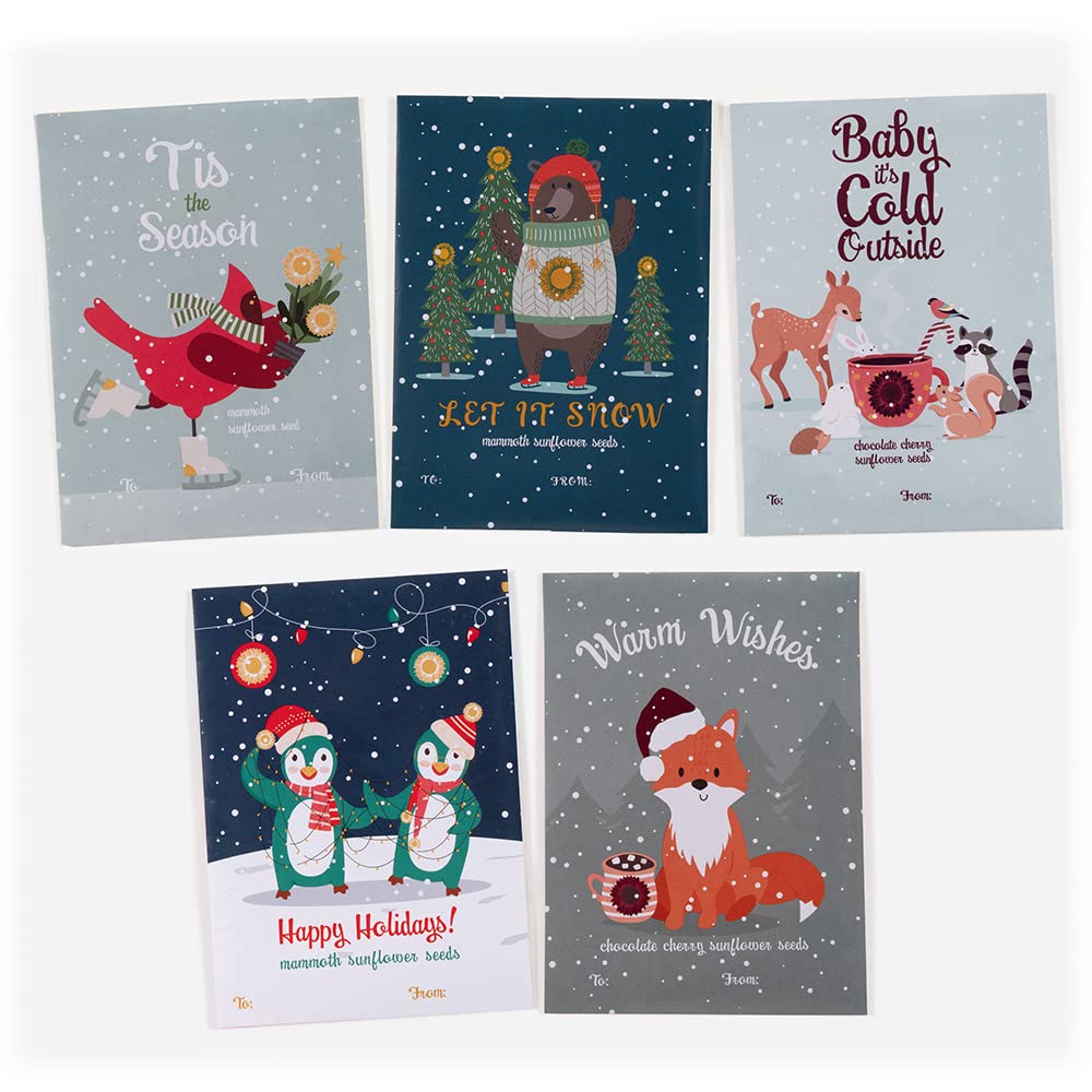 Bentley Pollinator Kraft Bee Packet, 25 Wildflower Seed Packets for Planting, Non-GMO Flowers to Help Bees, Beautiful Garden Gift