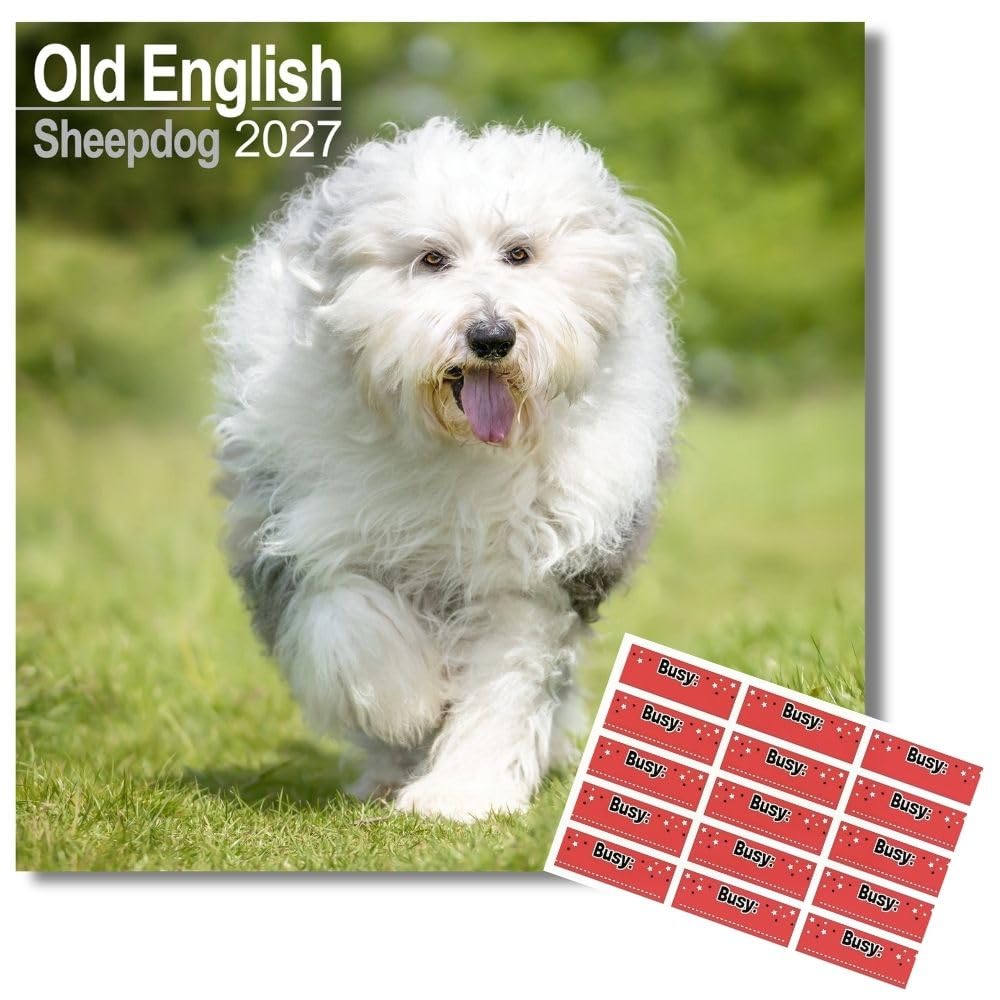Avonside Old English Sheepdog 2027 Calendar with Organisational Stickers, 16 Month Square Wall Calendar (Sept 2026 - Dec 2027), UK Planner for Dog Lovers, For Home or Office, 11.6 x 11.6 in