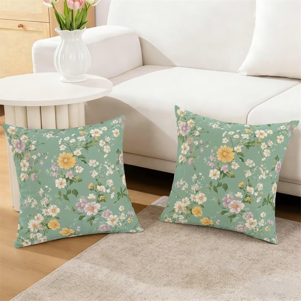 Federe Cuscini Divano 65x65 cm Federe Morbido Copricuscini Verde Chiaro in Velluto, 2 Pezzi Copri Cuscini per Divano Primavera Decorativi Federa Cuscino Floreale per Camera da Letto Soggiorno (IU93)