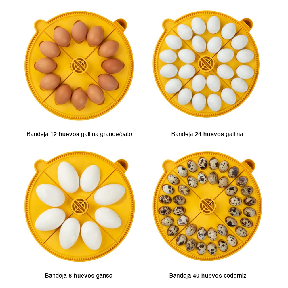 FINCA CASAREJO Incubadora BRINSEA Maxi 24 EX - Incubadora para 24 Huevos de gallina - Apta para Diferentes Especies o tamaños de Huevos - Fabricación Europea