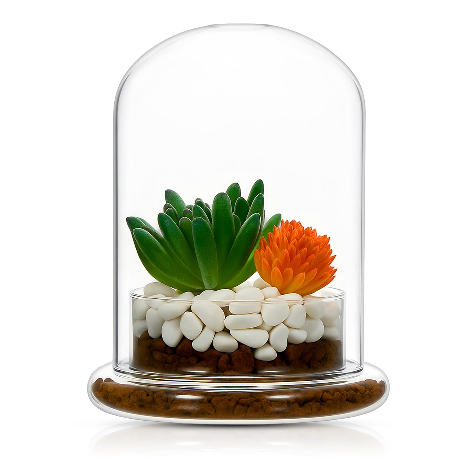 1 Pcs 4.7 x 6.3 Inch Clear Glass Dome Terrarium with Air Hole &amp; Base
