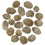 Naturosphère - Décoration Naturelle C45 - Têtes de Leucadendron - 250 grammes