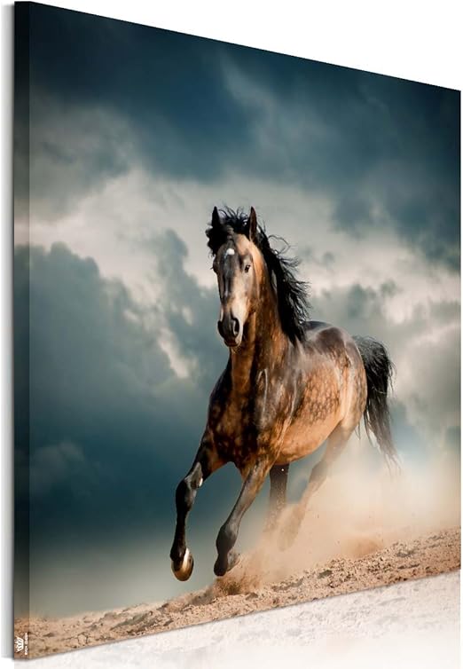 Amazon Co Jp 馬の絵 絵画 ポスター 馬 フォトフレーム おしゃれ 壁掛け アートフレーム 動物 絵画 アートパネル 壁飾り木枠付き 横50cm 縦50cm ホーム キッチン