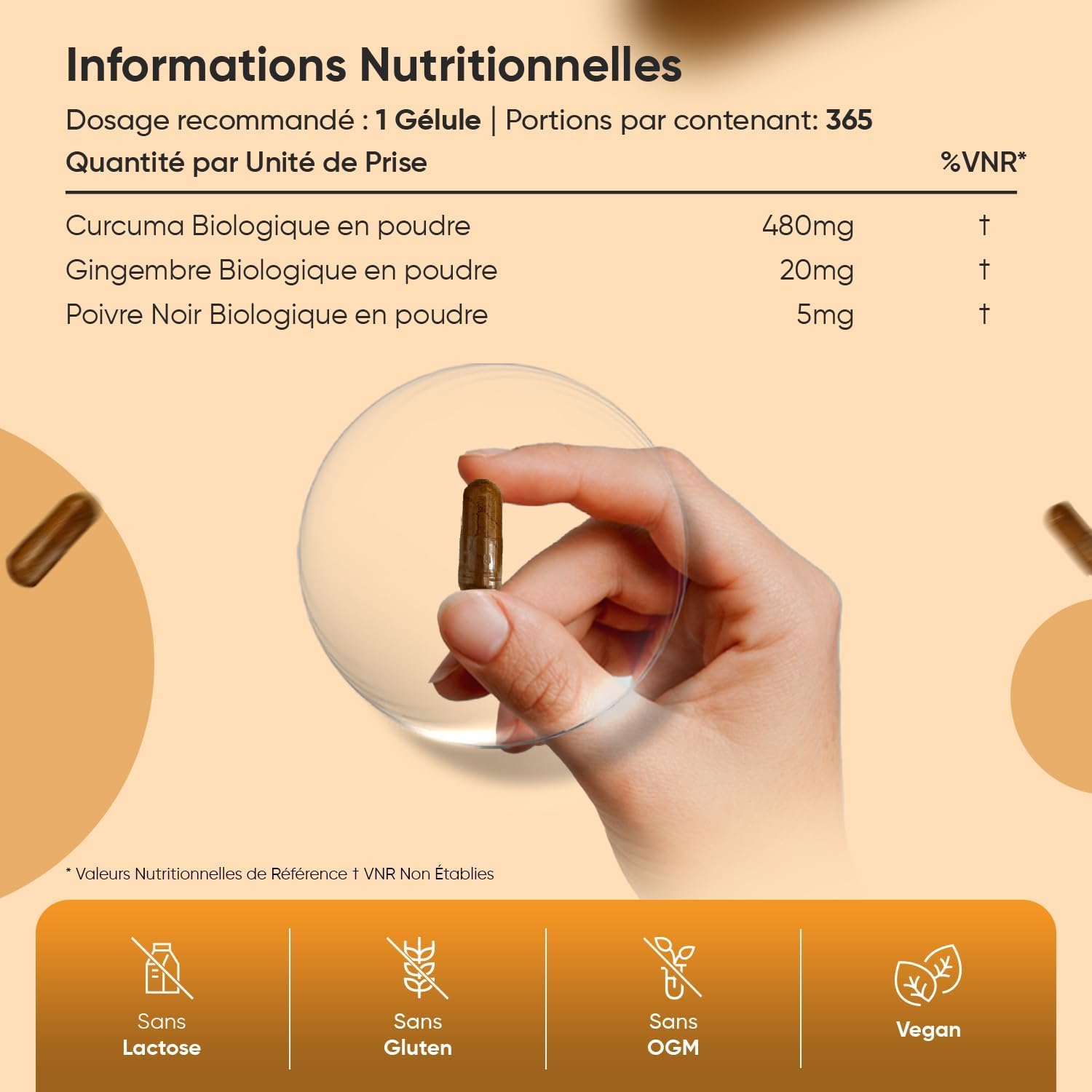 Duo Complémentaire - Curcuma Bio, Poivre Noir, Gingembre 365 Gélules Vegan - Psyllium Blond Bio 180 Gélules Vegan, Tégument de Graine de Plantago Ovata - Gélules Multi-Usages Certifiées AB