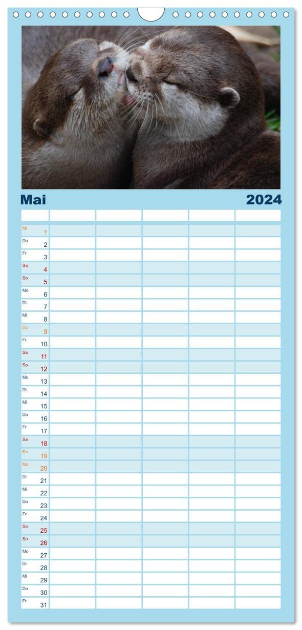 Familienplaner 2024 - Otter. Frech, laut und clever mit 5 Spalten (Wandkalender, 21 cm x 45 cm) CALVENDO: Putzige Räuber und echte Rabauken im und am Wasser (CALVENDO Tiere)