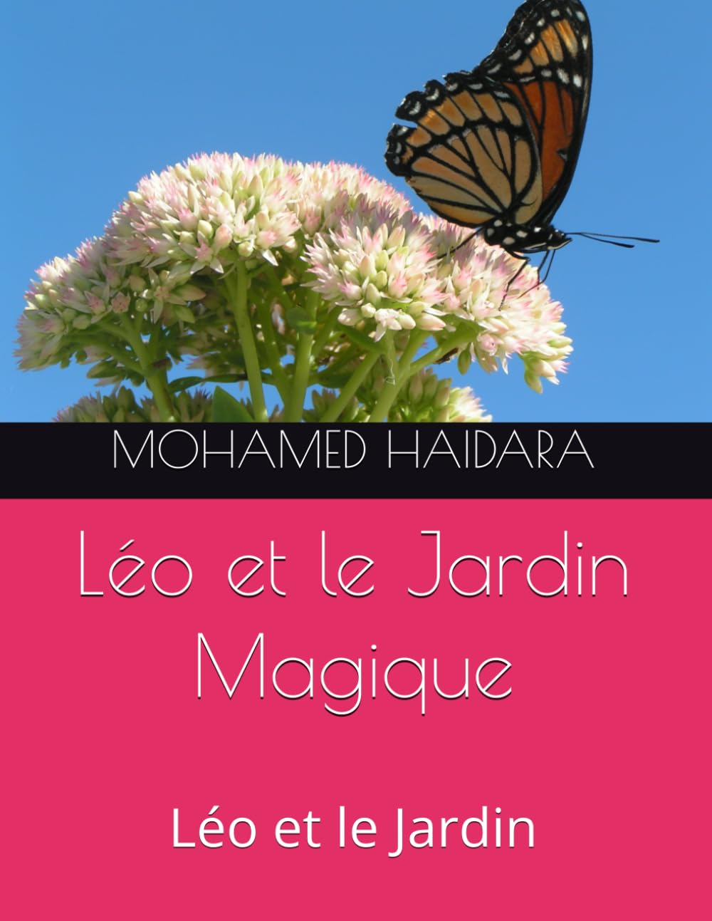 Léo et le Jardin Magique: Léo et le Jardin