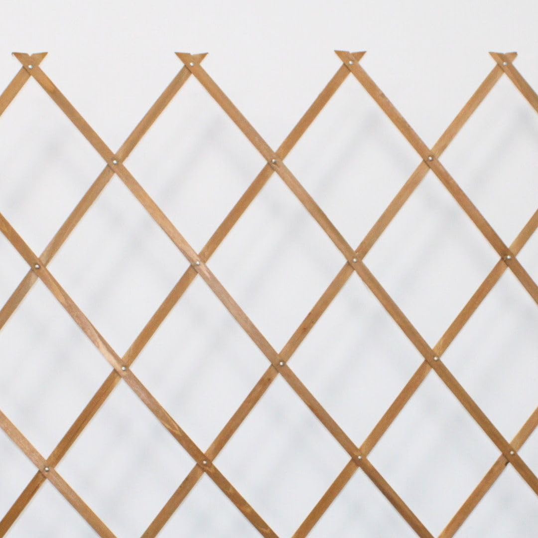 Celosía Extensible de Madera Elegante en Blanco - Decoración Versátil y Duradera para Jardín y Hogar (1X2M, Madera)