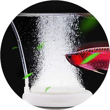 Amazon 水族館エア盤 Similkyエアーストーン Co2拡散器 気泡放出 セラミックス制 水槽用空気盤 気泡盤 水槽装飾 酸素補給 気泡盤 細かい気泡が出す 水の循環が良い 新鮮な空気を維持 魚タンク 水族箱 水槽用 エアーストーン 観賞魚 熱帯魚 丸形 N50 70mm Similky