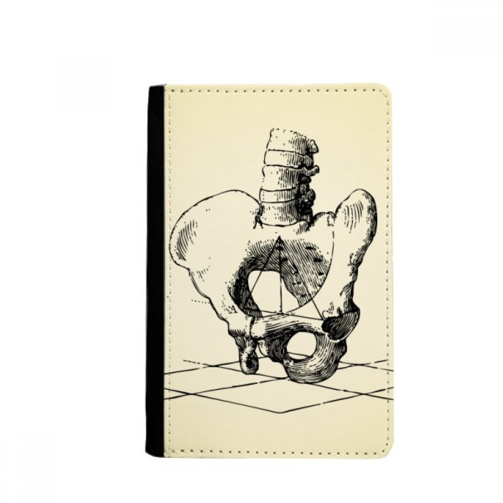 DIYthinker Hip Spine Human Skeleton Sketch Passport Holder Notecase Burse Wallet Cover Card Purse