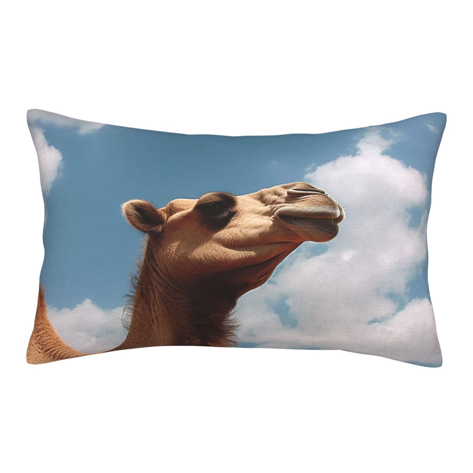 Velvet Pillowcases 16"x24" Ultra Soft Breathable Pillow Cases, Luxury Fuzzy Throw Pillow Covers with Zipper, Animal Pillow Shams All Seasons Decorative Cushion Cases for Couch