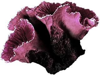 SECFOU 1 peça Ornamentos Esconderijo Paisagismo Casa Paisagismo Camarão Esconderijo Esconderijo Roxo Resina Água Salgada Planta Falsa Simulação Plantas Plásticas Pequena Escultura Artificial para Tanques de Peixes do Mar