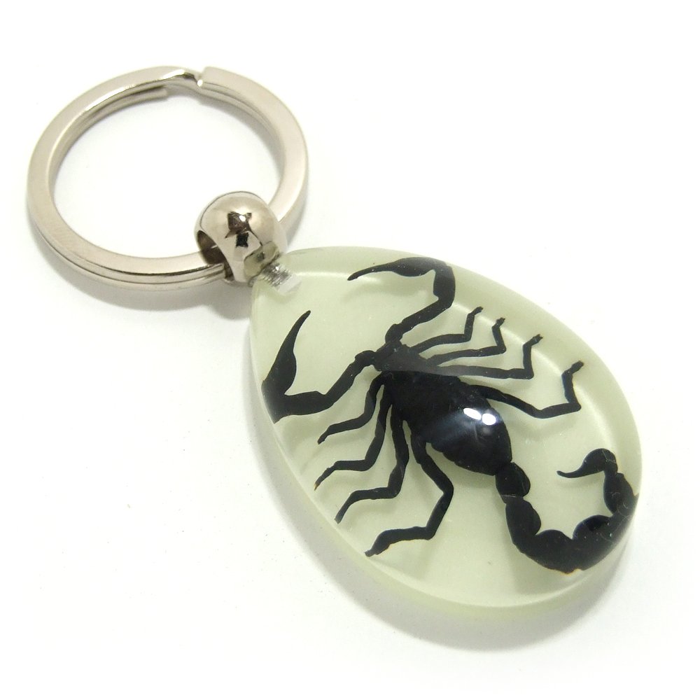 Amazon | Insect Keyring 【サソリ】 夜光タイプ 蓄光 キーホルダー