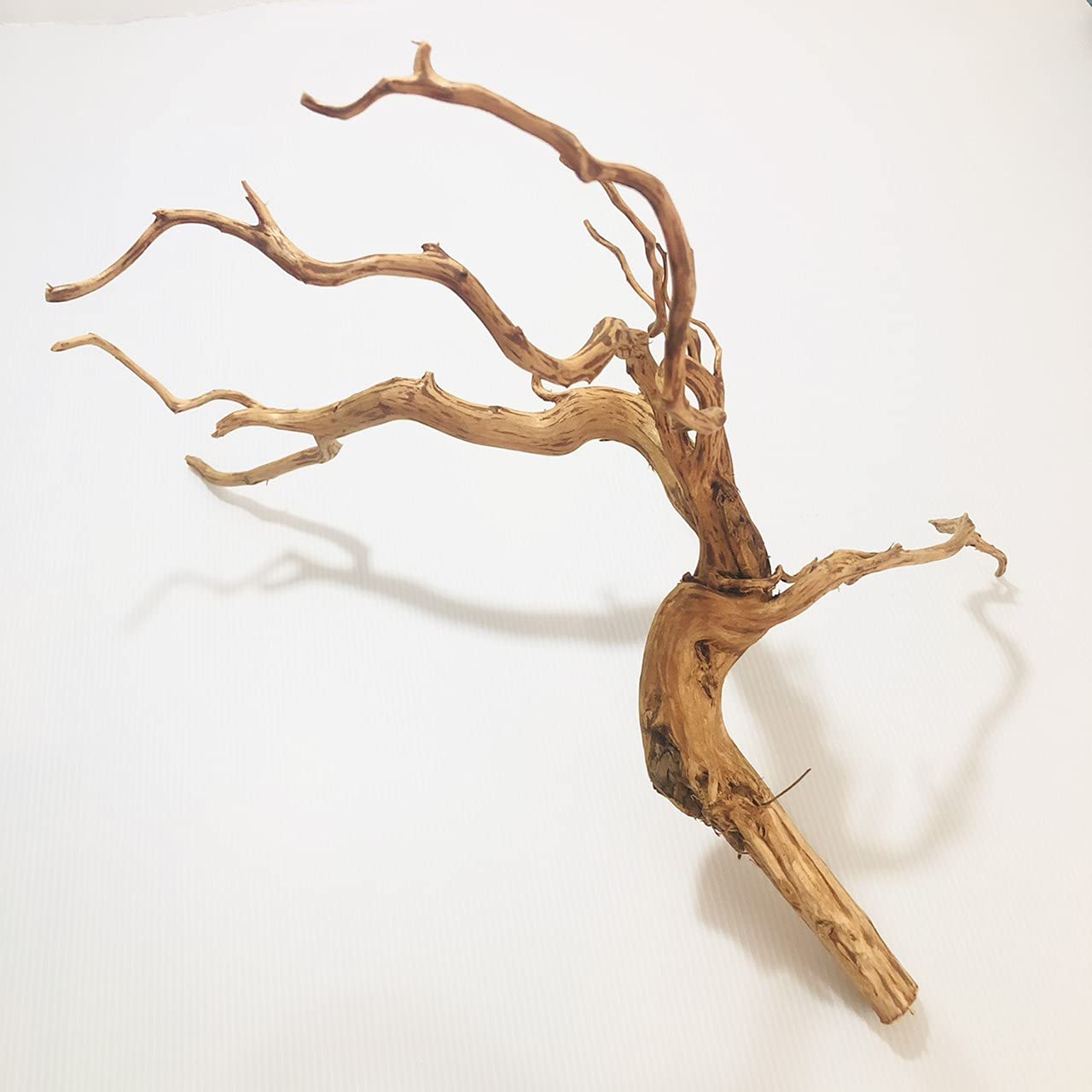 Amazon.co.jp: Goldlife 流木 大 Lサイズ 1本 スマトラウッド