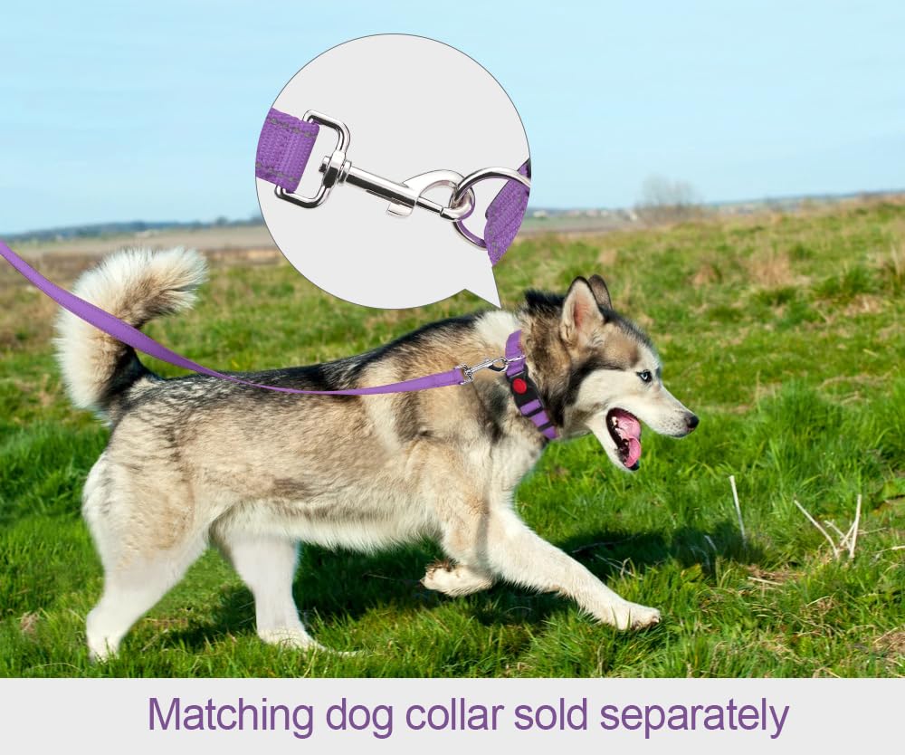 Taglory Guinzaglio per Cani Riflettente con Manico Imbottito e Gancio in Metallo, Nylon Resistente Addestramento Cane Guinzaglio, 1.8 m x 2.5 cm, Viola