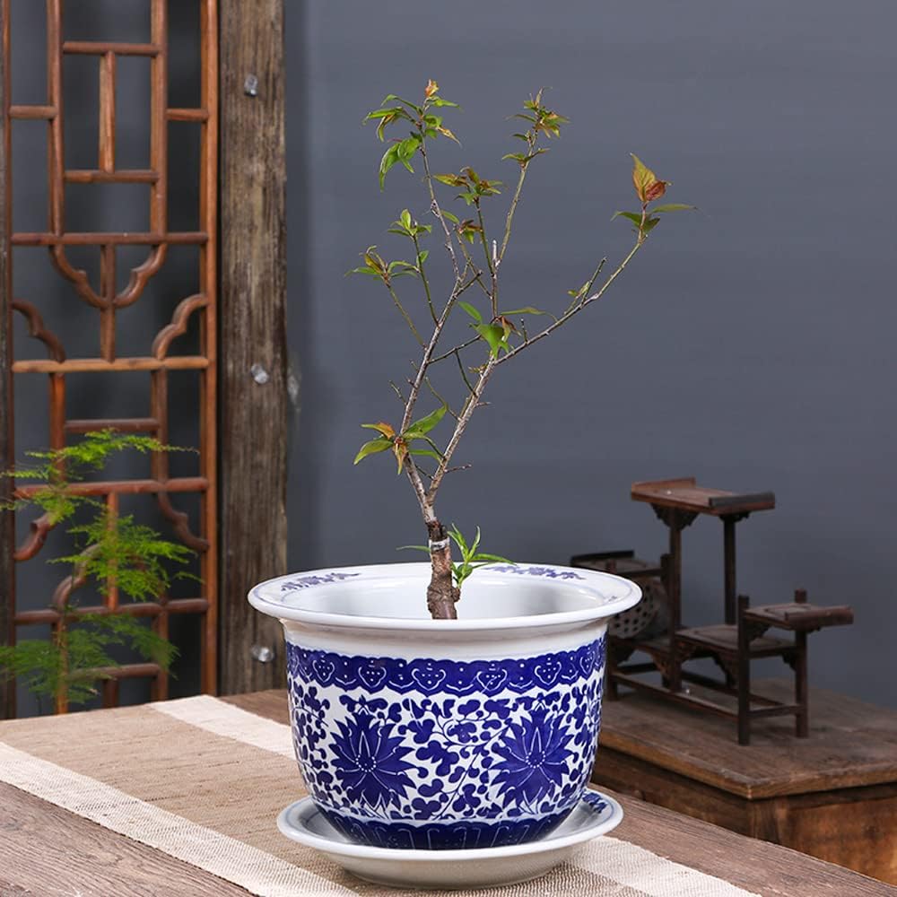 Blue and White Porcelain Flower Pot with Saucer, Traditional Chinese Ceramic Planter, Floral Pattern Design, Indoor Outdoor Succulent and Bonsai Pot, Decorative Garden Plant Container