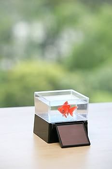 d*7様 【希少】出目金 ソーラーで泳ぐ金魚 置物 カラクリ金魚 Amazon | ひかりとみずのカラクリ金魚 出目金 | 太陽・ソーラー | おもちゃ