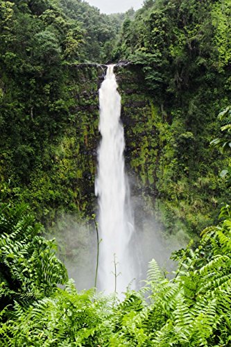 Akaka Falls Waterfall in Hawaii Journal: 150 page lined notebook/diary