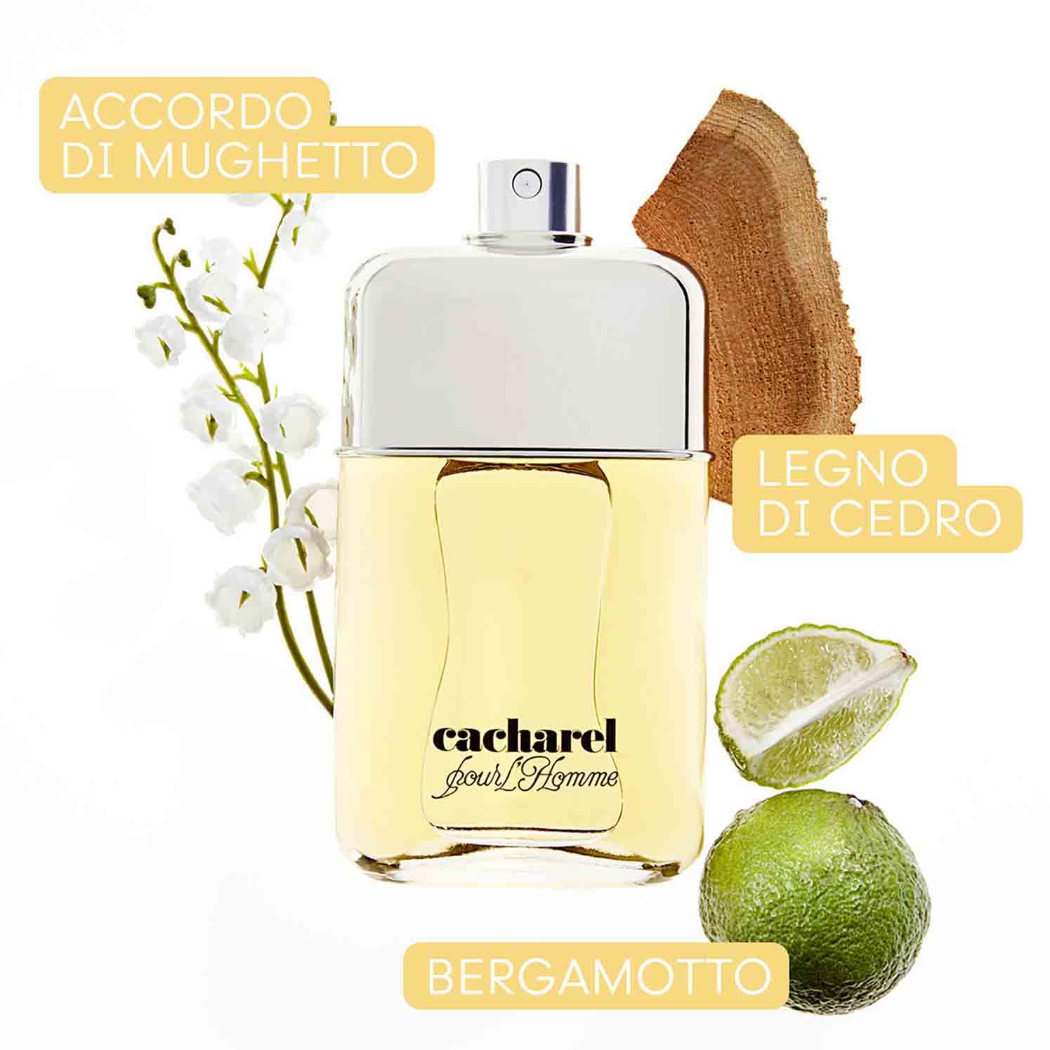 Cacharel Pour L'Homme Eau de Toilette Uomo, Profumo Uomo Intenso, Avventuroso e Misterioso, Fragranza Legnosa e Speziata, Con Bergamotto e Lavanda, A Lunga Durata, Profumo di Lusso per Uomo, 100 ml