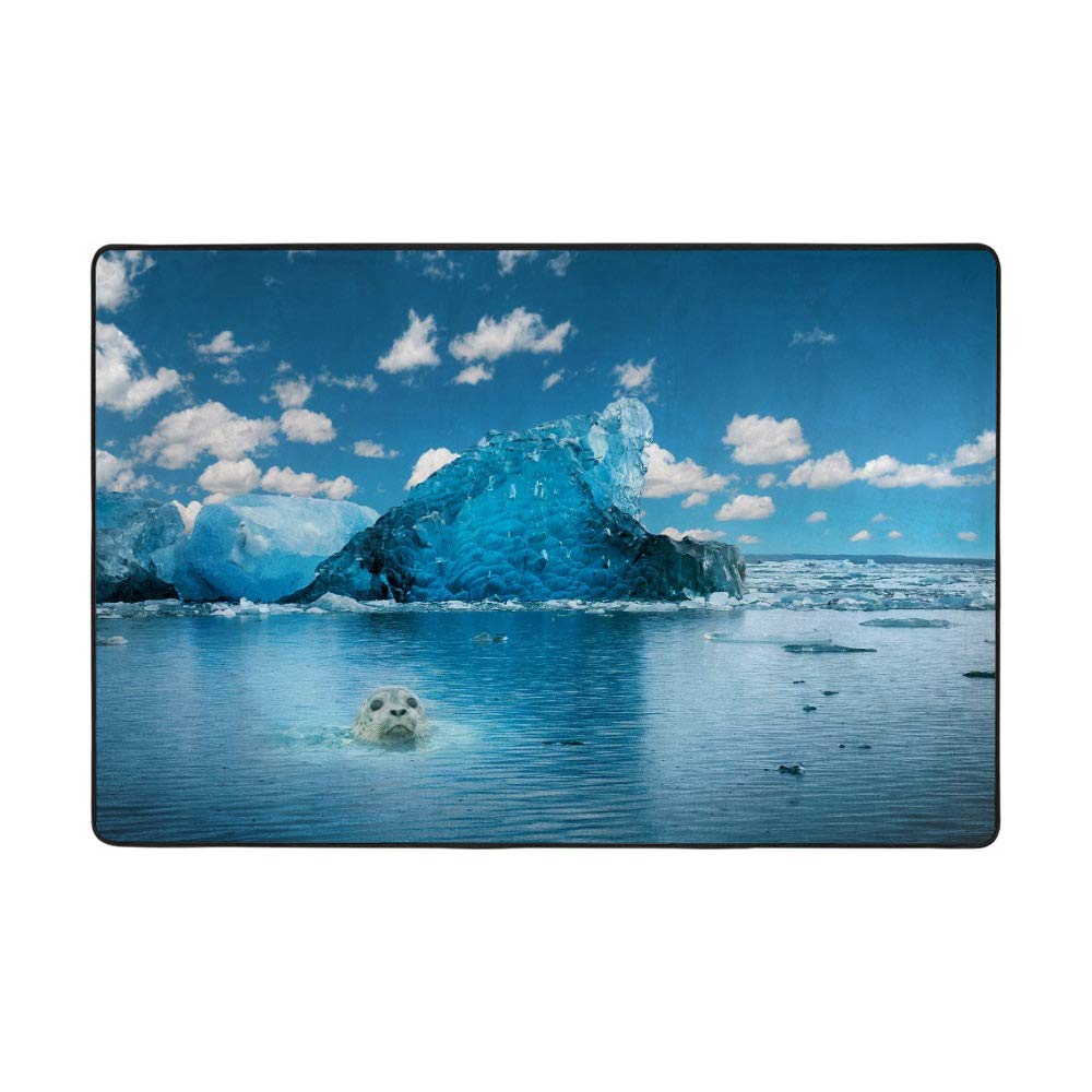 Tapis de salon en velours corail Ruchen, finition bleu glacier chic