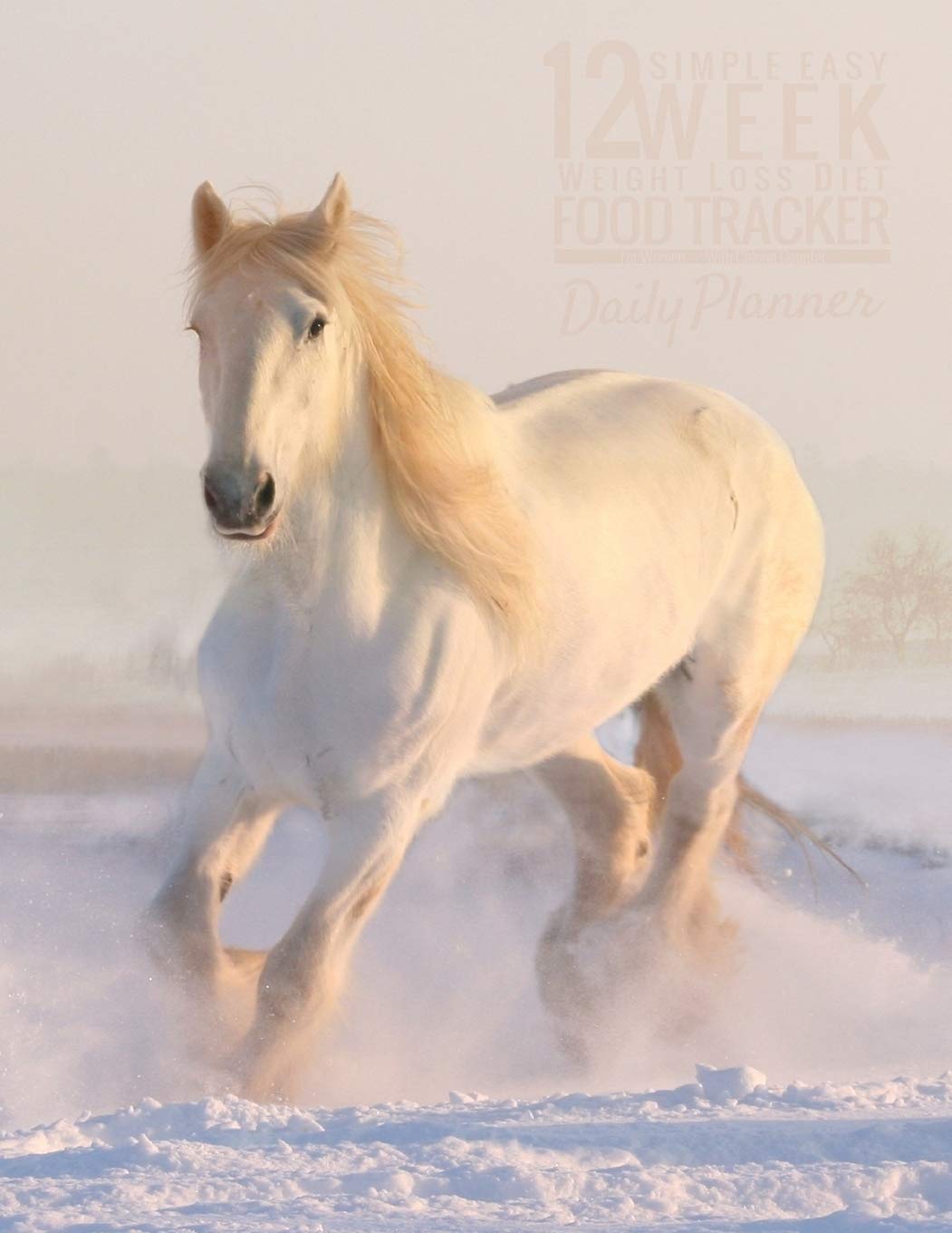 Simple Easy 12 Week Weight Loss Diet Food Tracker for Women: Large Size 8.5" X 11" Daily Weekly Journal Notebook Diary Planner Schedule Organizer with Calorie Counter