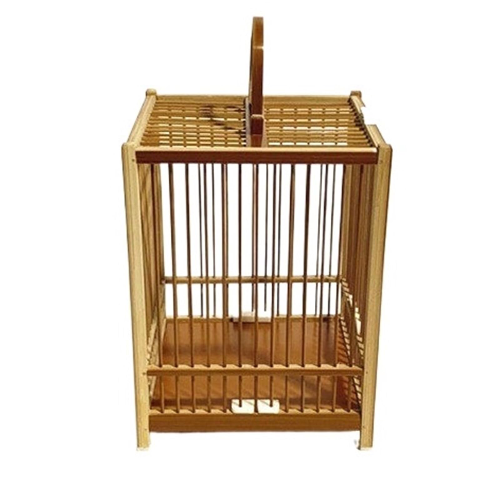 Cage à grillons rectangulaire compacte et aérée pour le transport sécurisé des insectes