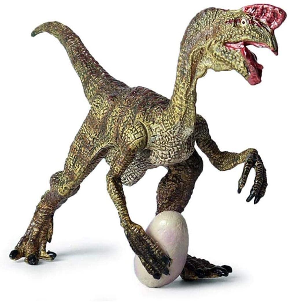 HLD Dinosaur Animal Toy Prehistoric Egg Thief Dragon Handmade Model Solid Plastic Model Education Gift Entertainment Favorites Simulate Large Models Dinosaurs & Prehistoric Creatures