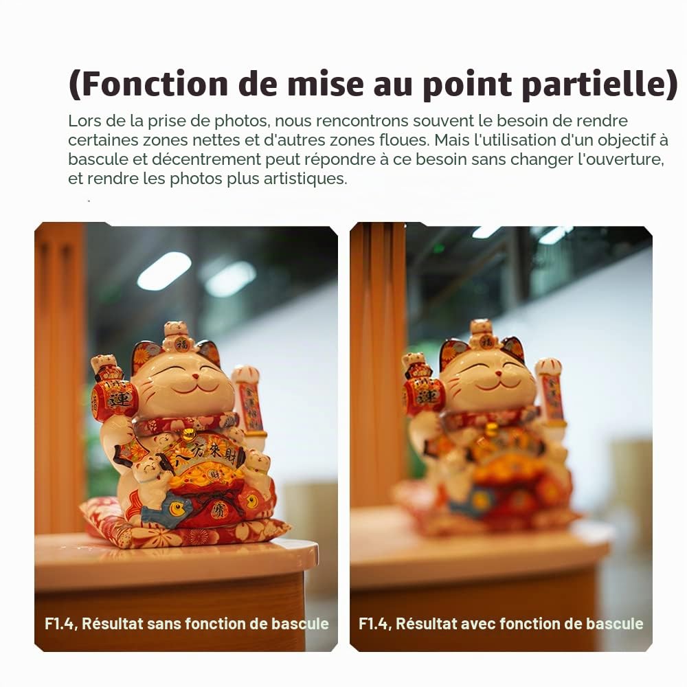 TTartisan 50mm F1.4 Objectif inclinable, Compatible avec Les appareils Photo sans Miroir Canon à Monture RF EOS-R RP R5 R6 R6II
