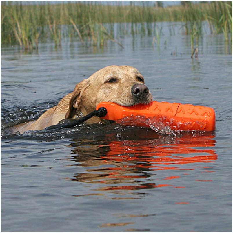 Avery ASD 2" HexaBumper Hunting Sporting Gun Dog Game Retriever Dummy | Water & Upland Mark Training Retrieval Tool | Hexagonal, Floating Design, Easy-Grip Texture, Throw Rope, 6 Pack, Orange (02713)