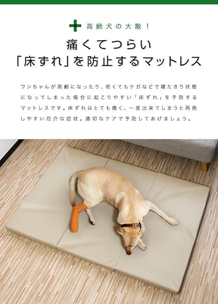 Amazon Ottostyle Jp ペット用 床ずれ防止マットレス Lサイズ ベージュ 幅135cm 奥行き90cm 高さ5cm 大型犬 防音 抗菌 防臭 寝たきり シニア Ottostyle Jp ベッド マット ステップ 通販