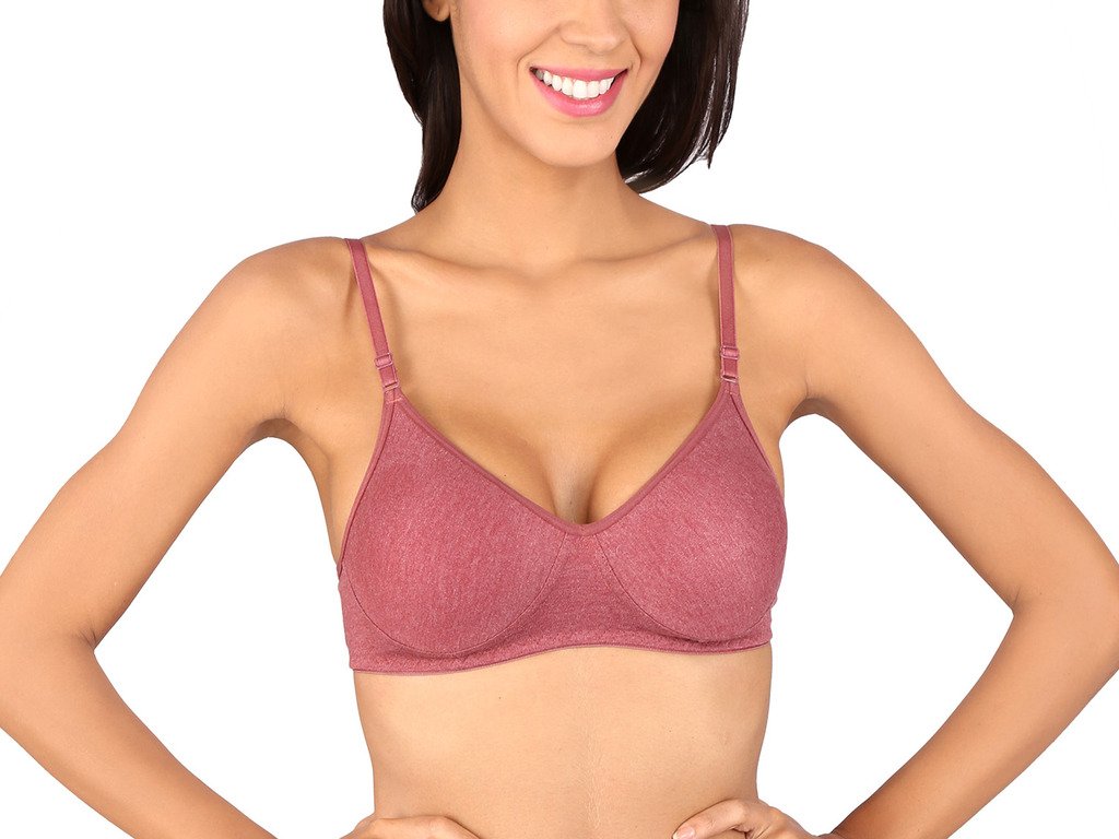 Bralux Women's Bra Cotton Hosiery T-Shirt Non-Wired Non-Padded Bra for Plus Size - Bela