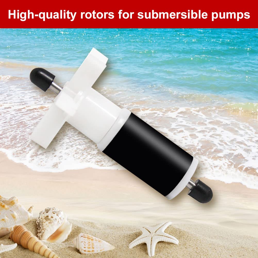 Fourmilière En Sable Avec Reine Et Fourmis Offertes - Kit De Démarrage AntHouse.es