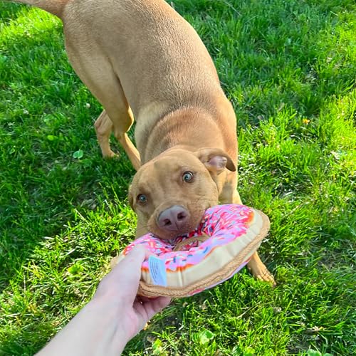 Image of Doggijuana Pink Donut & Juananip Bundle | Squeaky Refillable Plush Toy | Refillable squeaky plush dog toy + organic calming catnip; eases anxiety, stress & storms; drug-free, hand-harvested