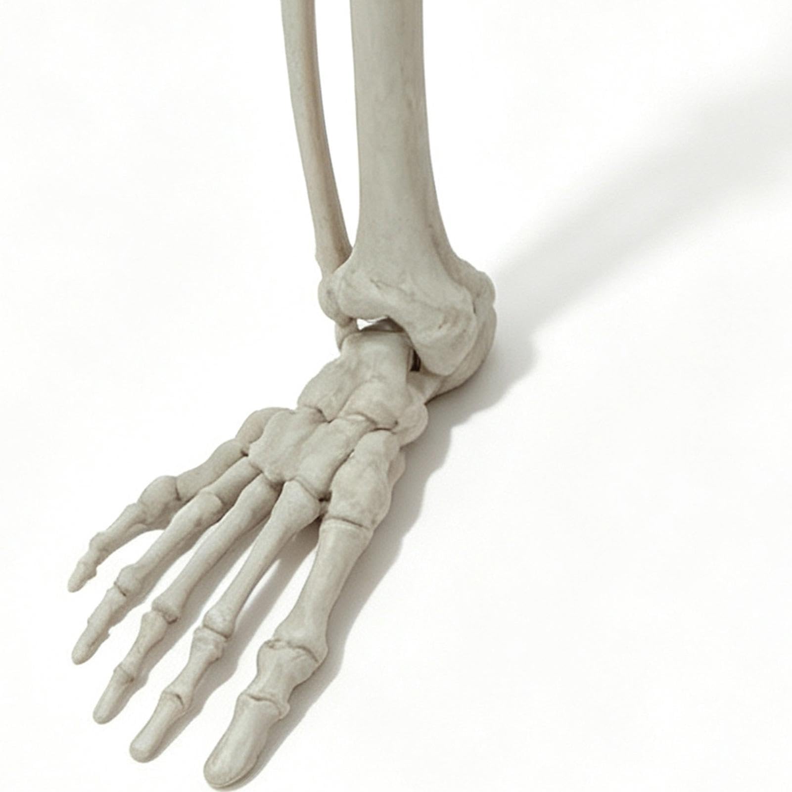 Szkielet Dekoracyjny 105 cm Realistyczna Figurka z Ruchomymi Stawami | Straszny szkielet halloweenowy do Nawiedzonego Domu, Ogrodu, Podwórka, Patio, Ganku, Tarasu, Dziedzińca, Imprezy i