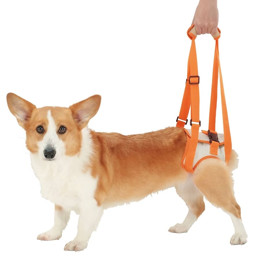 犬の歩行補助ハーネス(後部用Lサイズ) Amazon | ペティオ (Petio) 老犬介護用 歩行補助ハーネス 後足用
