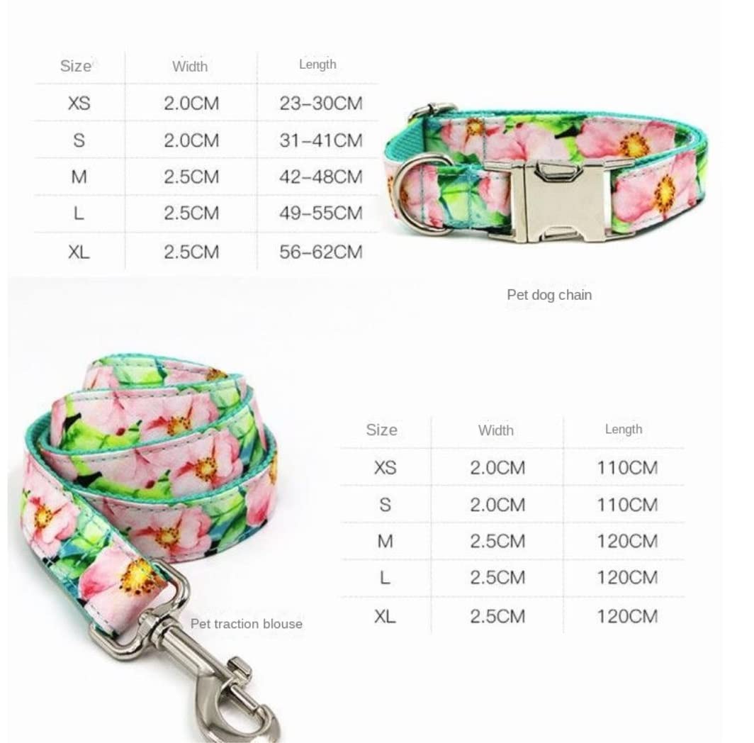 Correa Perro Collar De Perro con Lazo para Perros Pequeños, Collar De Mascota con Grabado Personalizado, Conjunto De Collar Y Correa Ajustable con Estampado Duradero Correa Perro Suave(56-62cm)