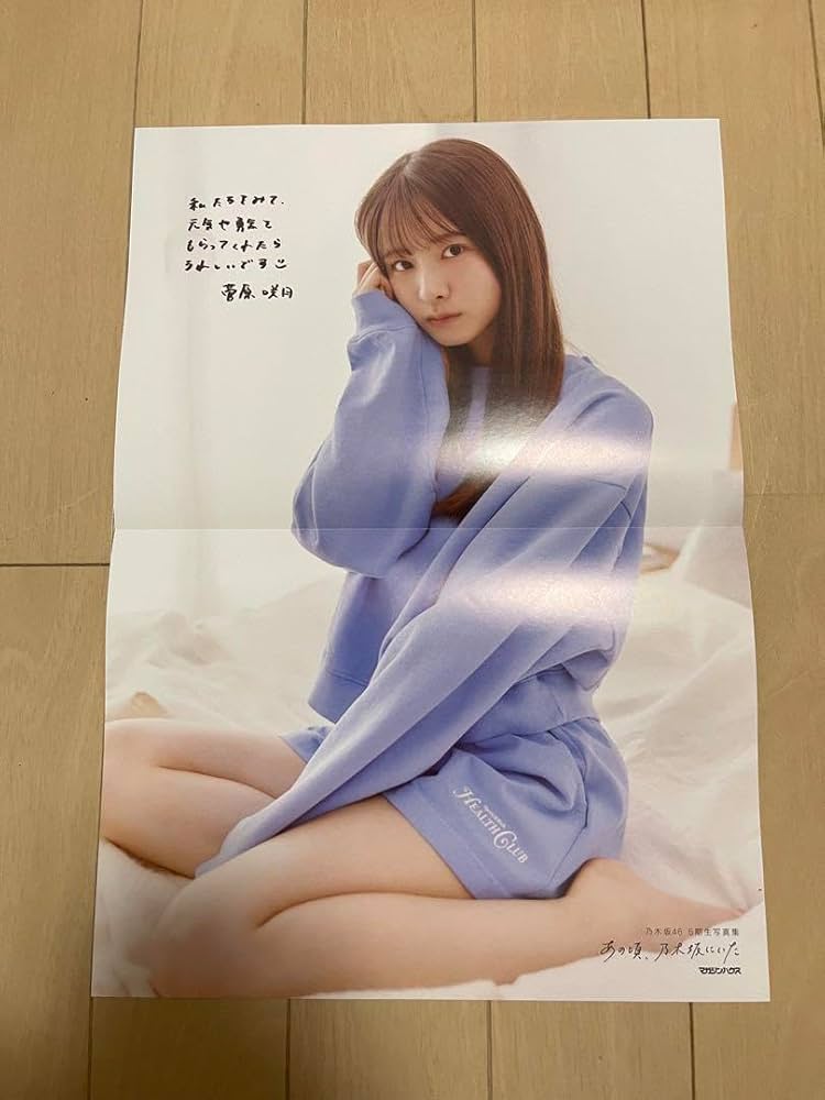 乃木坂写真集まとめポスター付き 乃木坂配信中｣6/3(火)生配信限定W特典・写真集未掲載ｶｯﾄ!B3ｻｲｽﾞ