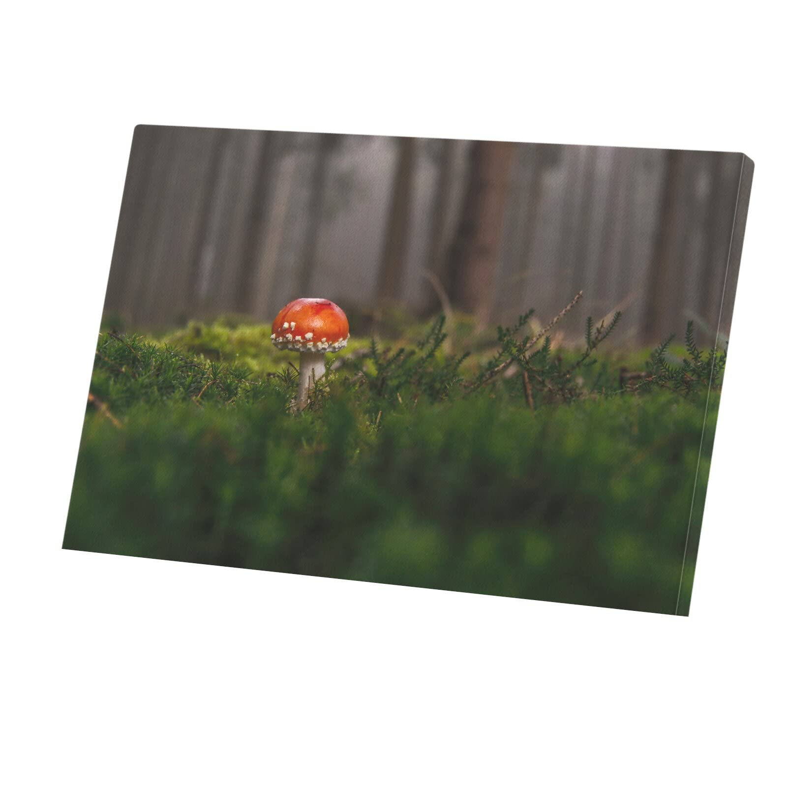 Foret champignon rouge tableau toile imprimée pour mur sombre