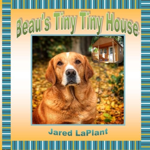 Beau's Tiny Tiny House