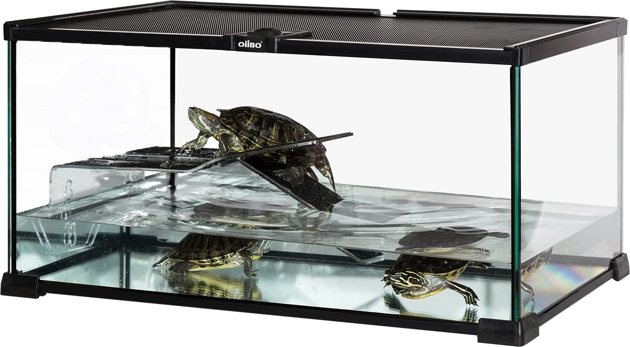 OIIBO 10 Gallon Reptile Glass Terrarium 20'' x 10'' x 12'' Naural