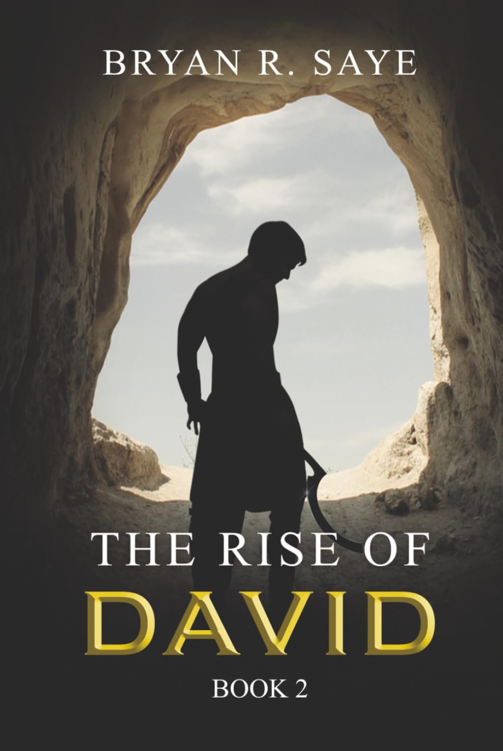 The Rise of David: Book 2 (The Kings of Israel)