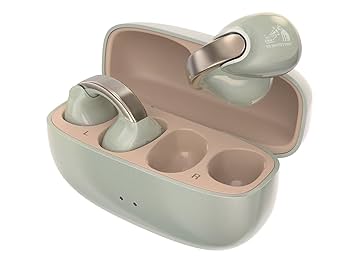 Amazon.co.jp: JVCケンウッド Victor HA-NP1T-GN ワイヤレス