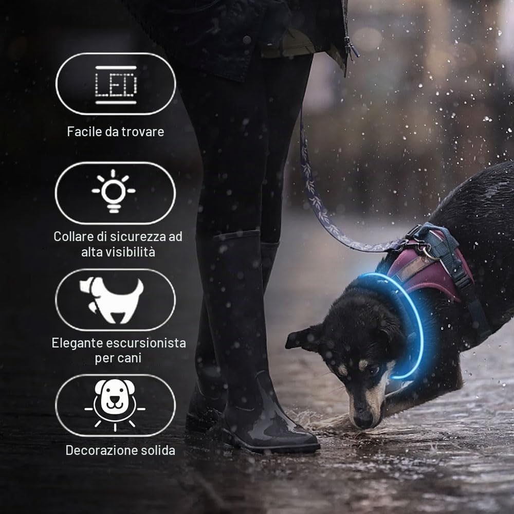 Voarge Collare luminoso per cane - Ricaricabile - Con 3 modalità di illuminazione - LED regolabile in lunghezza - Per cani di taglia media e grande - Blu